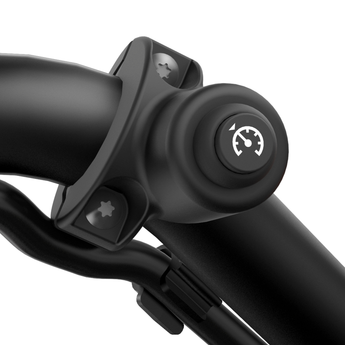 Cruise Control Can-Am Ryker