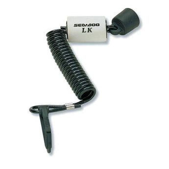 Programmable D.E.S.S.TM Key