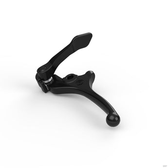 Lever With Parking Lock