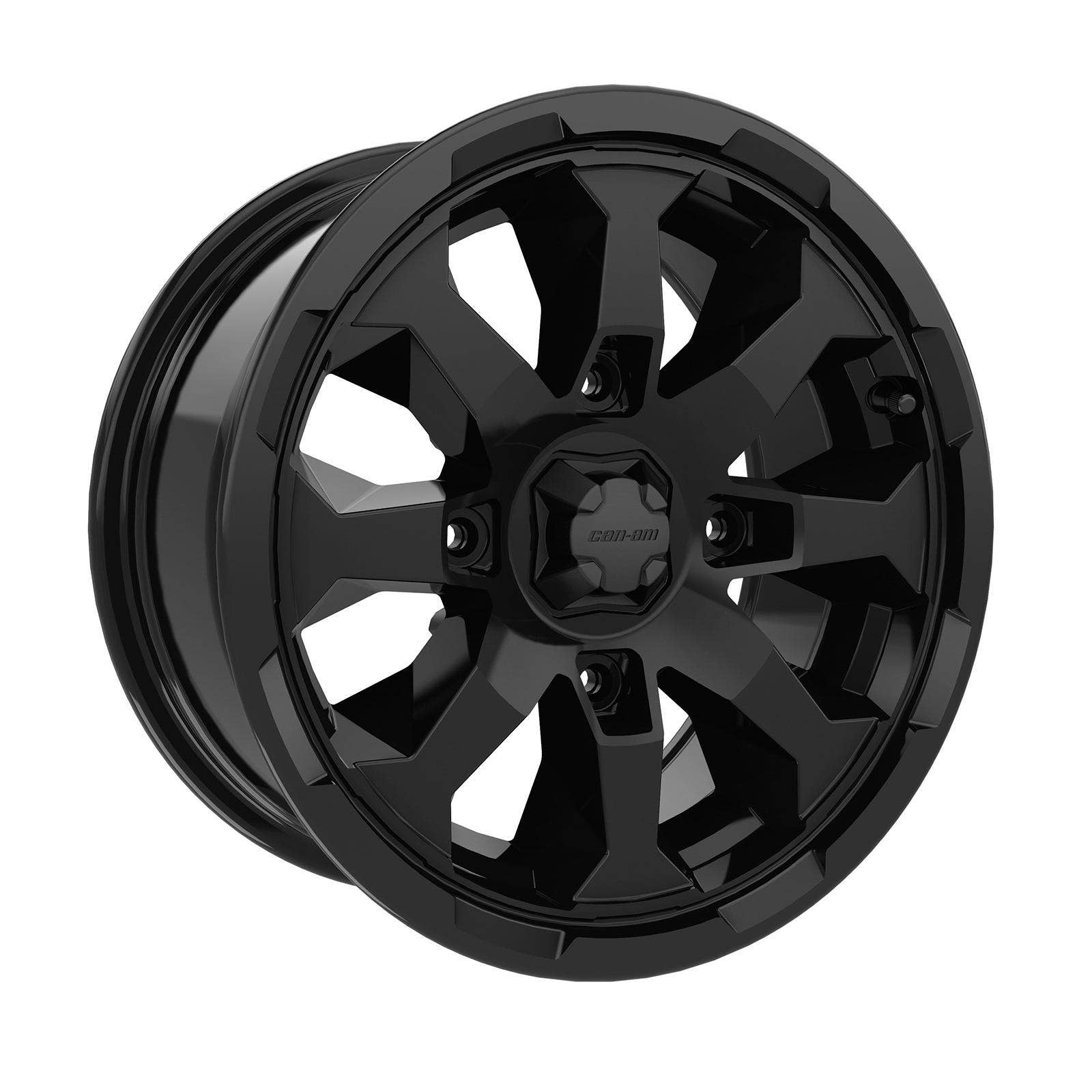 Quantam Rims Can-Am Rim – Delta Parts Store